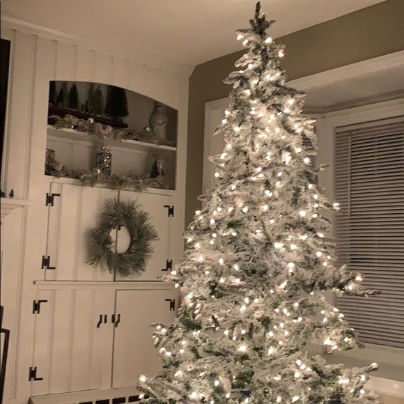 Meet your Posher, Michael - Picture 1 of 1